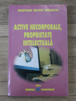 Cristian Silviu Banacu - Active necorporale, proprietate intelectuala