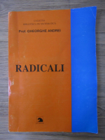 Gheorghe Andrei - Radicali