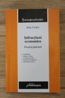 Iulia Ciolca - Infractiuni economice. Practica juridica