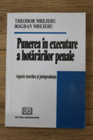 Theodor Mrejeru - Punerea in executare a hotararilor penale. Aspecte teoretice si jurisprudenta