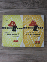 Vlad Ionescu - Tehnici de calcul in teoria sistemelor (2 volume)