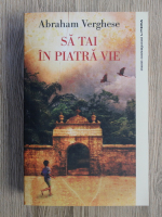 Abraham Verghese - Sa tai in piatra vie