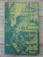 David Gross - The past in ruins. Tradition and the critique of modernity