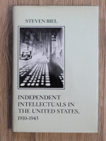 Steven Biel - Independent intellectual in the United States