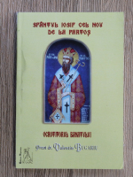 Valentin Bugariu - Sfantul Iosif cel Nou de la Partos. Ocrotitorul Banatului
