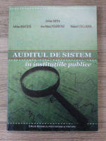 Adrian Mitea - Auditul de sistem in institutiile publice