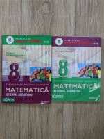 Anton Negrila - Matematica. Algebra si geometrie. Clasa a VIII-a (2 volume) 