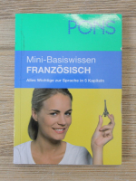 Christiane Wirth - Mini-Basiswissen Franzosisch. Alles Wichtige zur Sprache in 5 Kapiteln