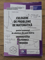 Doru Paunescu - Culegere de probleme de matematica, pentru examenul de admitere