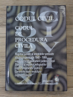 Elena Denisa Crisu - Codul Civil de procedura civila