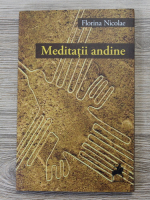 Florina Nicolae - Meditatii andine