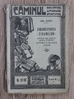 Gheorghe Sion - Emanciparea tiganilor (1924)