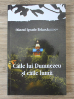 Ignatie Briancianinov - Caile lui Dumnezeu si caile lumii