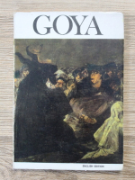 Jose Manuel Pita Andrade - Goya