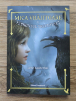 Lene Kaaberbol - Mica vrajitoare, volumul 5. Labirintul trecutului