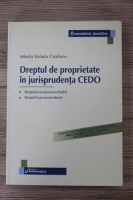 Mirela Steluta Croitoru - Dreptul de proprietate in jurisprudenta CEDO