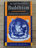 Peter Harvey - An introduction to Buddhism. Teachings, history and practices