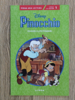 Pinocchio. Poveste cu pictograme
