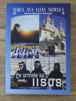 Ana Lucia Nedelea - Pe urmele lui Iisus
