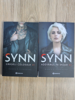 Bianca Florentina Preda - Synn (2 volume)