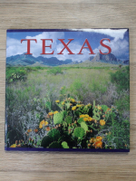 Texas (ghid de calatorie)