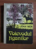 Jokai Mor - Voievodul tiganilor 
