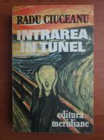 Radu Ciuceanu - Intrarea in tunel (Memorii I)
