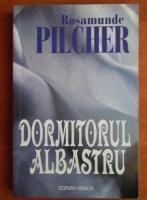 Anticariat: Rosamunde Pilcher - Dormitorul albastru