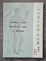 Anatomical charts of the acupuncture points and 14 meridians (carte + 6 planse)