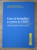 Diana Olivia Hatneanu - Cum sa formulam o cerere la CEDO