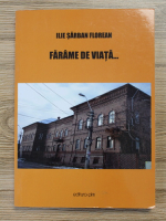 Ilie Sarban Florean - Farame de viata