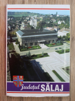 Judetul Salaj. Monografie 