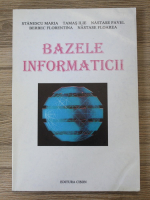 Maria Stanescu - Bazele informaticii