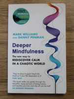Mark Williams - Deeper mindfulness