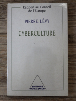 Pierre Levy - Cyberculture