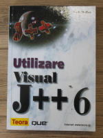 Scott Mulloy - Utilizare Visual J++6