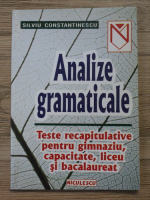 Silviu Constantinescu - Analize gramaticale