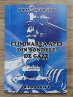 Sorin Gheorghiu - Eliminarea apei din sondele de gaze