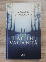 Alexandru Draganoaia - Lac in vacanta