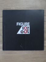 Figure in, figure out (15 februarie-14 martie 2011, prima editie)