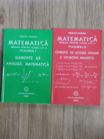 Mircea Ganga - Elemente de analiza matematica, pentru clasa a XI-a (2 volume)