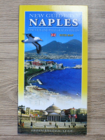 New guide to Naples. Vesuvius and Phlegraean Fields 