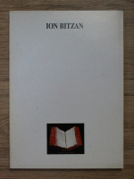 Homage to Ion Bitzan