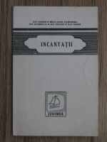 Incantatii. 5 poeti debut