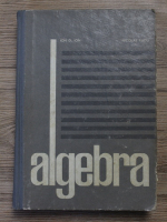 Ion D. Ion, Nicolae Radu - Algebra