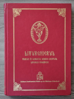 Liturghierul Tradus In Limbajul Mimico-Gestual Liturgic Romanesc (2008)