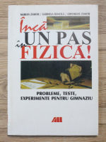 Marian Zamfir - Inca un pas in fizica