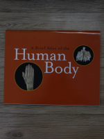 A brief Atlas of the Human Body