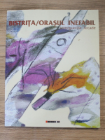 Bistrita. Orasul inefabil. Galeriile Arcade (2008)