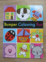 Bumper colouring fun (carte de colorat)